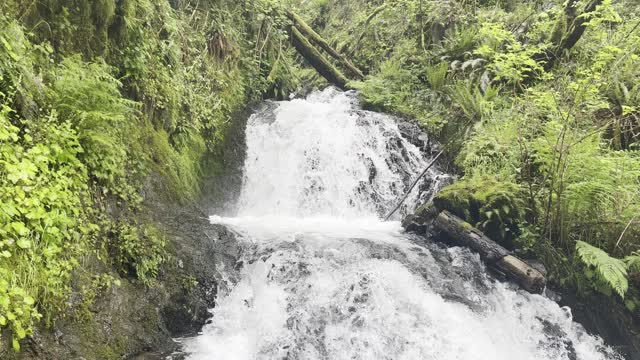 The Gentle Shepperd's Dell Waterfall – Columbia River Gorge National Scenic Area – 4K