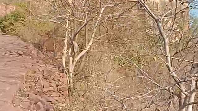 Best place to visit in India narshingharh