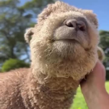 It’s impossible to be cuter than this…!