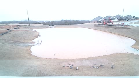 The Pond