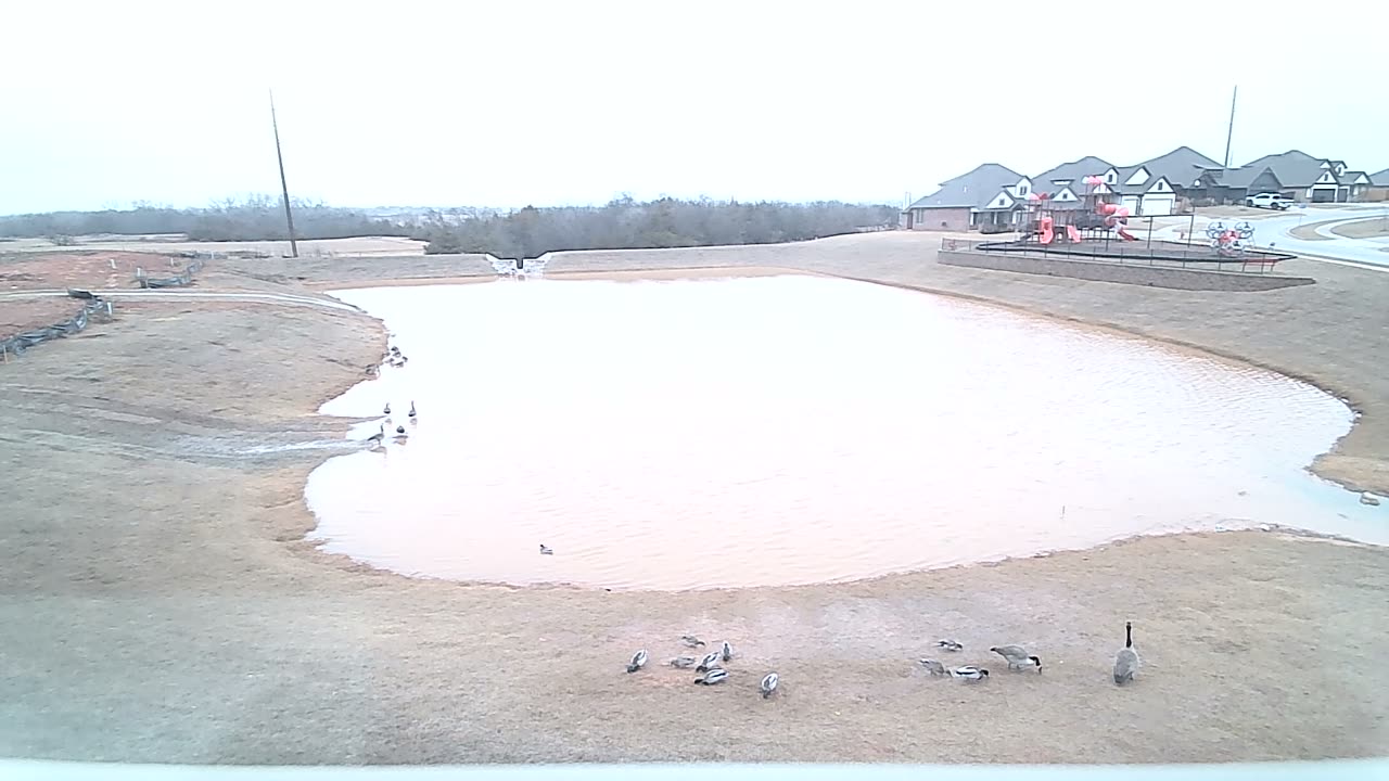 The Pond
