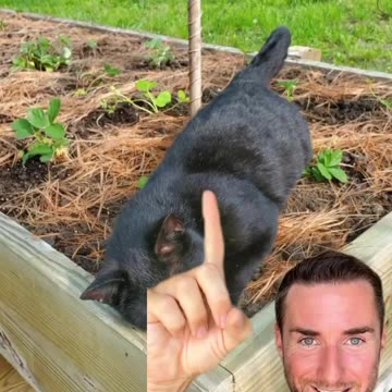 copper antenna healing