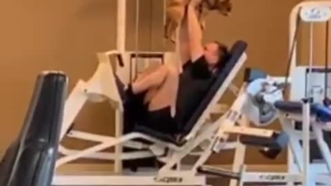 Dog Proves To Be The Best Gym Buddy Ever