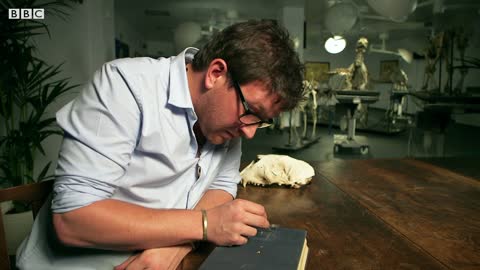 The Smallest Bones in Our Body | Secrets of Bones | BBC Earth