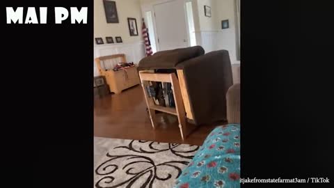 Funny Angry Pets, Watch Until The End! Don't Mess With These Dogs