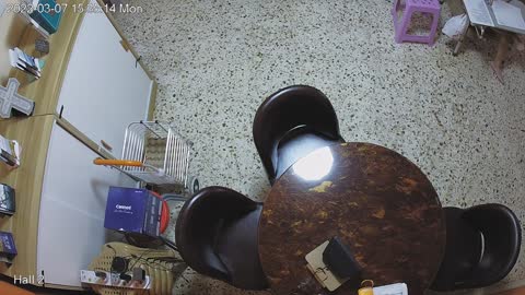 hallmid day n night 20220307