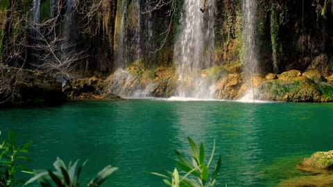 Natural falls with lake video