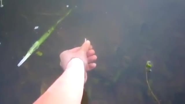 human hand against fish