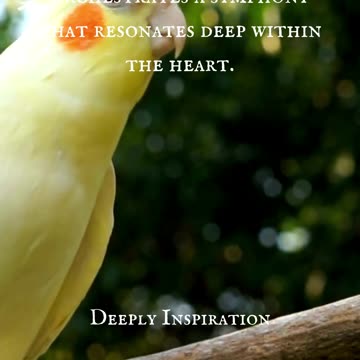 Embrace Nature's Wisdom: Inspiring Nature Quotes to Awaken Your Soul | Motivation & Connection