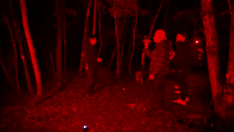 GHOST HUNTING : Aokigahara Fores