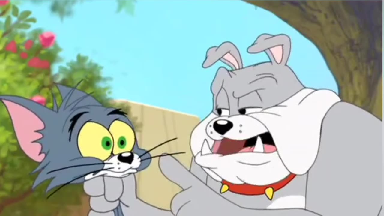 Tennis Player Tom | Funny Cartoon Videos | Tom and Jerry