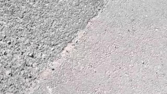 Thomas Richards - Bolton