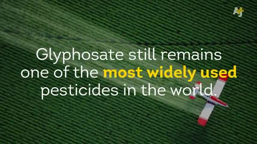 MONSANTO LOBBYIST CLAIMS ROUNDUP IS SAFE TO DRINK – REFUSES TO DRINK IT❗️ 🤷🤷🤷