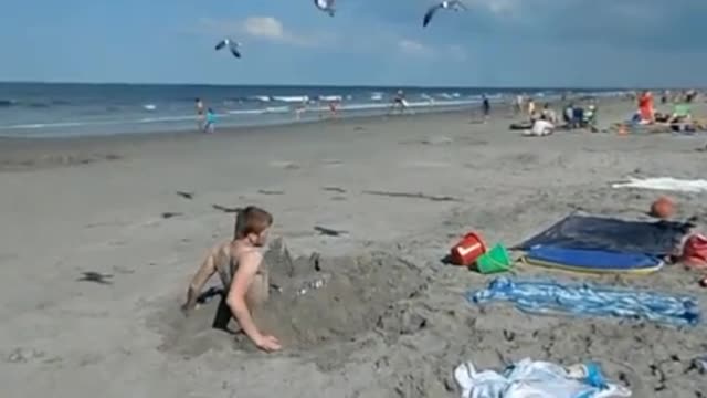 Seabirds are in confusing state of mind on guys relaxing moment