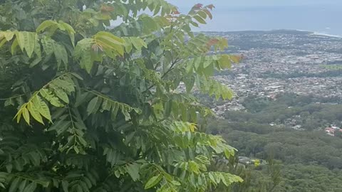 MT Keira Lookout