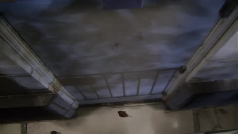 0921USCG00HT18Exterior_2021-01-06_17h40min02s077ms.mp4