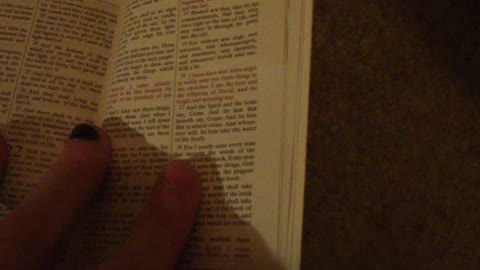 my cat tries to eat the Bible (i get it)