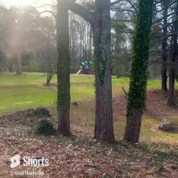 God Did I Can’t Make This Up! 😍😍😍 #fyp #shorts