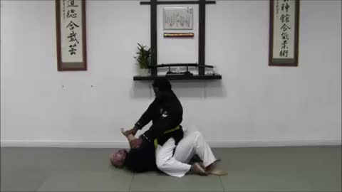 Aiki Jitsu