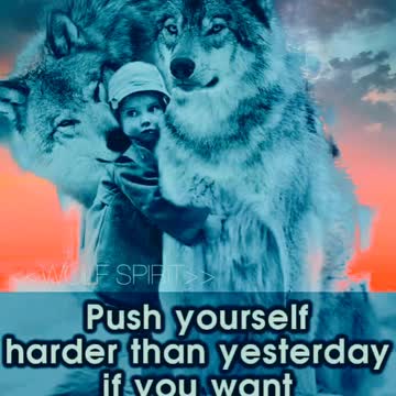 Never give up the fight