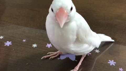 「くーは、ここにいるよ」②