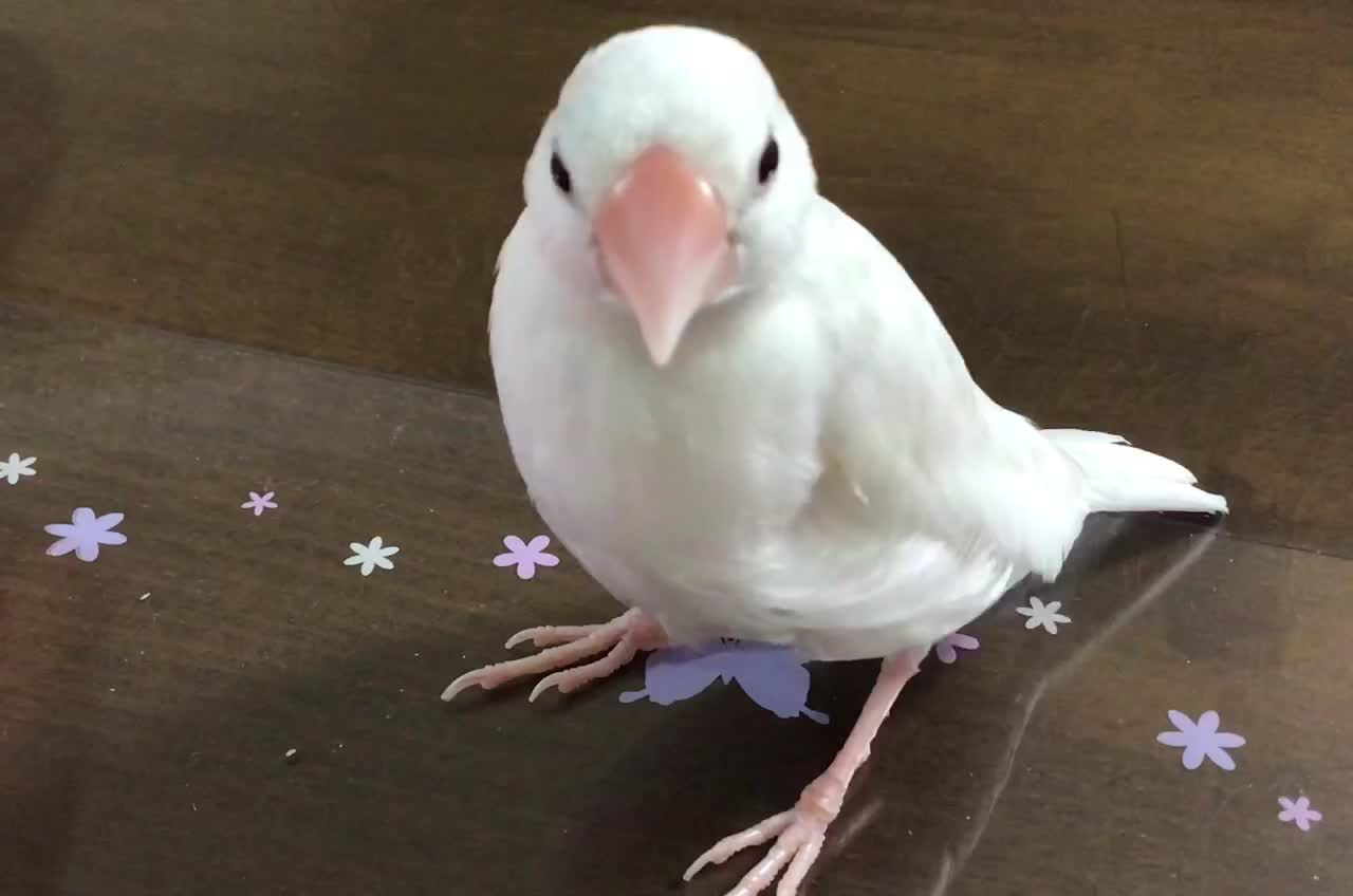 「くーは、ここにいるよ」②