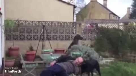Super drunk compilation V1