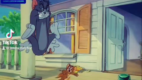 Tom and Jerry lovers