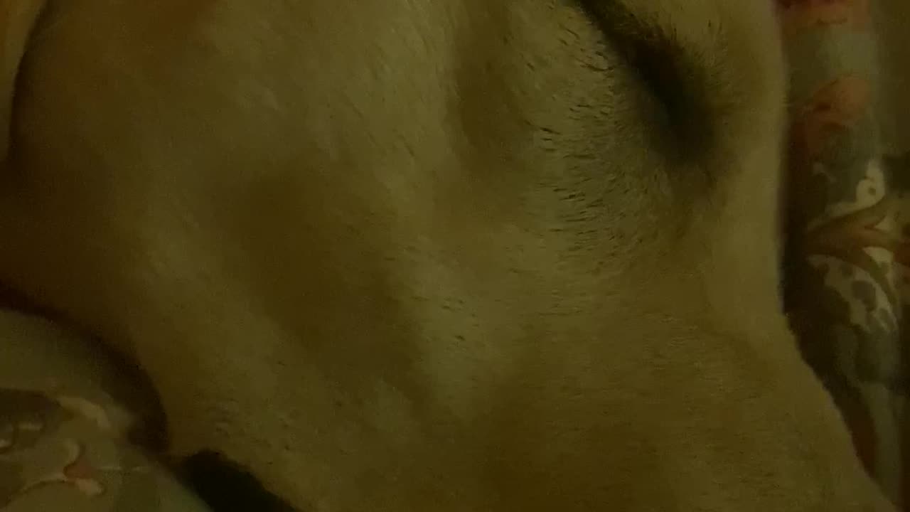Breathe In, Bark Out