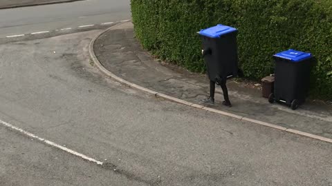 Trash Bin Doesn't Want to Be Taken Out