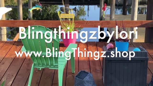 Bling Thingz Sun Catchers