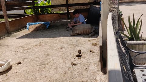 Spencer with Tortoise at HAPPI Farm VID_20220421_124754