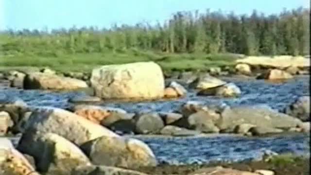 Last-Studio, Video-N.15 (2001)