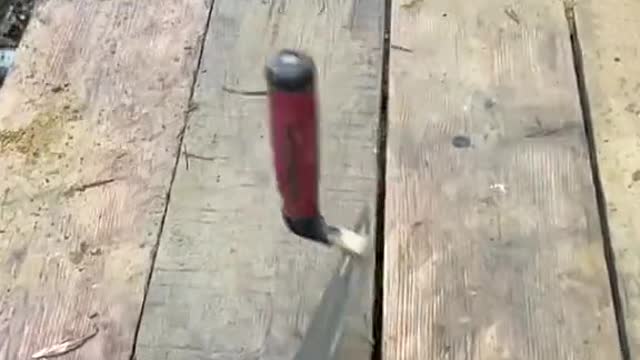 picks up items unexpectedly