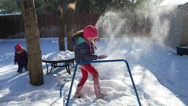 First Time They Ever Seen Snow. #2 San Antonio Texas