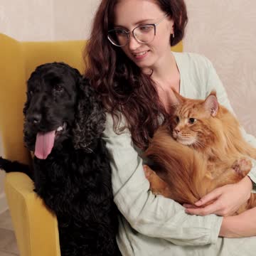 Beautiful Dog and cat