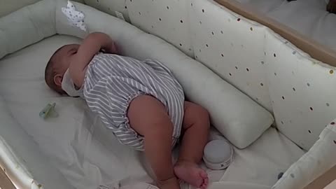 Dachshund Calms Crying Baby