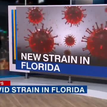 COVID-19 variant found in Florida,