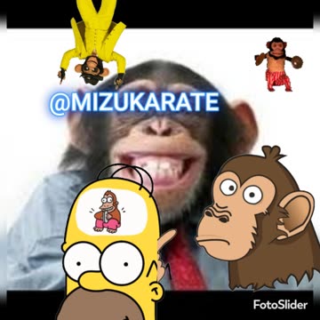 Monkey Life ( Unknown Singer )