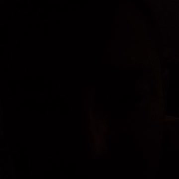 Stevewilldoit and Christian Bushnell