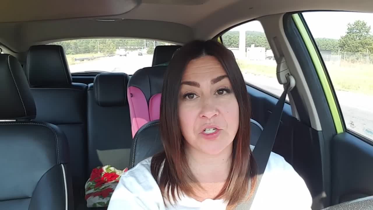 Kittens, Cars & a New Series