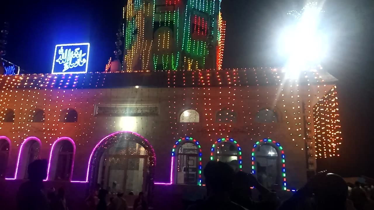 Wali e walat