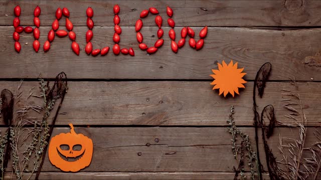 A Cool Halloween Stop Motion Video.