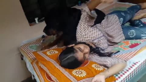 Relationship Between Pet Dog & Cute Girl