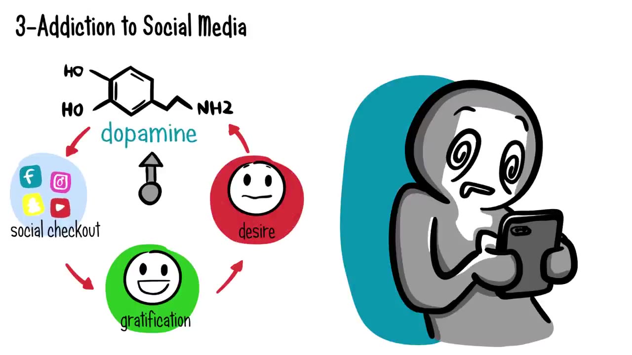 12 Fun Physiological Facts u wish u know