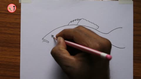how to draw and label diagram of Fish easily