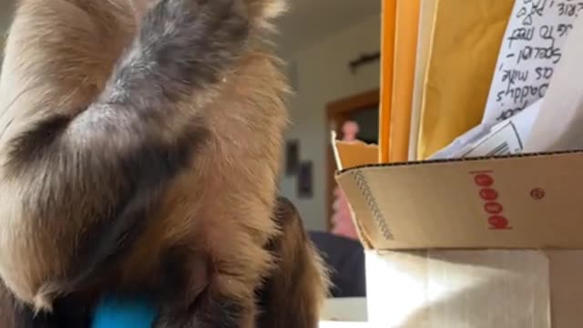 Just having a snack! Stopping in to say hey!!