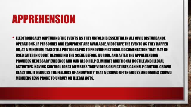 Riot Control Basics Part 4 / Apprehension