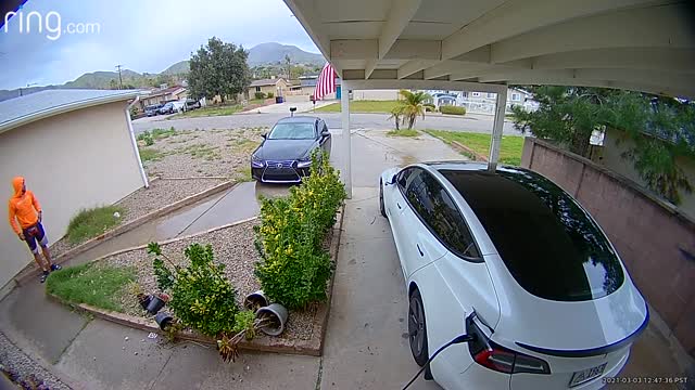 Delivery Driver's Runaway Lexus Rolls into Garden