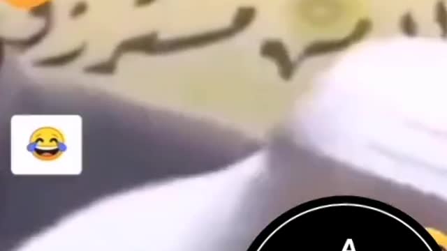 Funny video clip🤣🤣